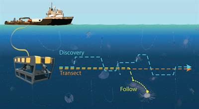 DeepSTARia: enabling autonomous, targeted observations of ocean life in the deep sea